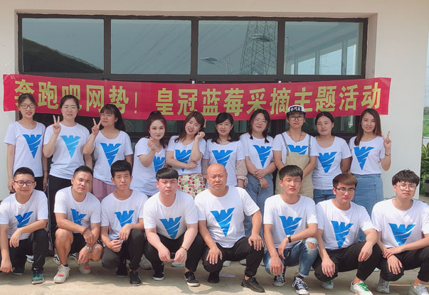 【奔跑吧網(wǎng)勢(shì)！】藍(lán)莓采摘主題團(tuán)建活動(dòng)